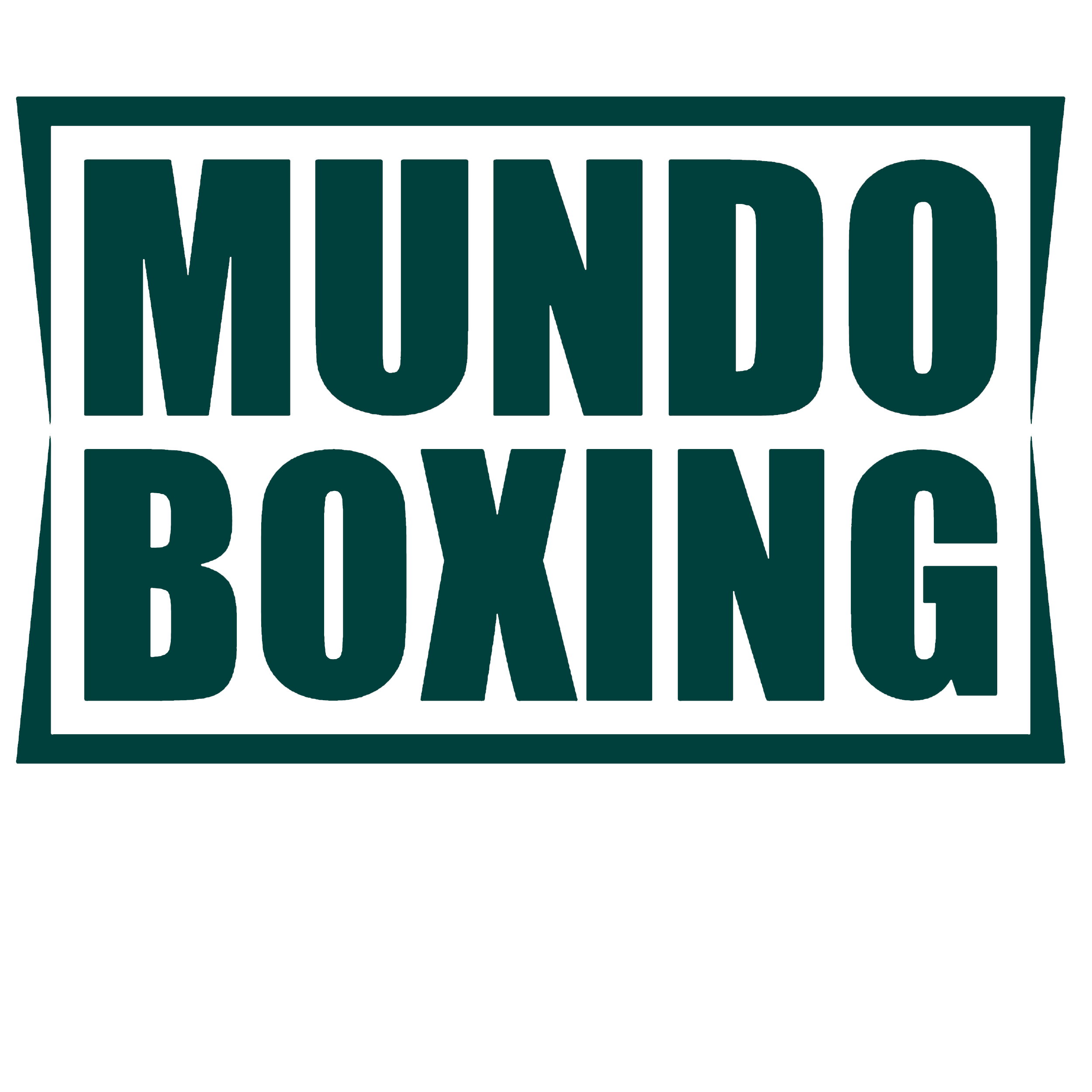 mundo-boxing-fighting-gym